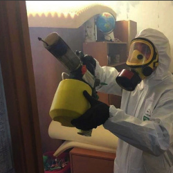 Уничтожение клопов в квартире. Славянский бульвар